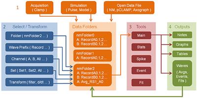 NeuroMatic: An Integrated Open-Source Software Toolkit for Acquisition, Analysis and Simulation of Electrophysiological Data